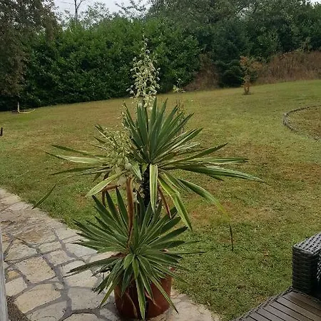 Panzió La Belle Chaumiere Bretagne-de-Marsan