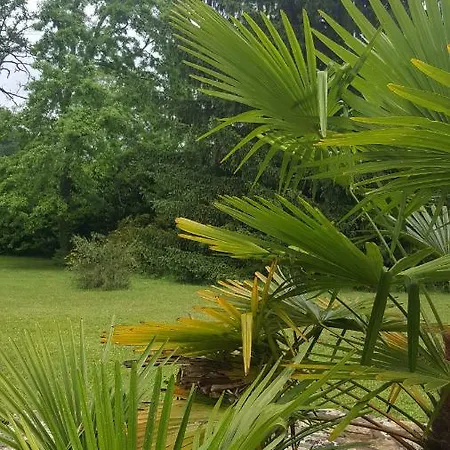 La Belle Chaumiere Oda ve Kahvaltı