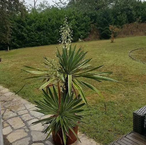 Bed & Breakfast La Belle Chaumiere Bretagne-de-Marsan