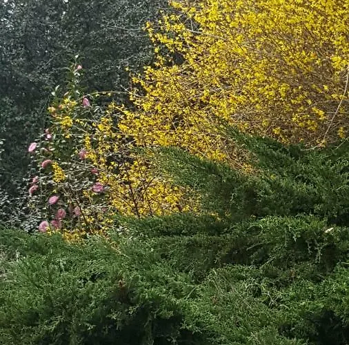 Panzió La Belle Chaumiere