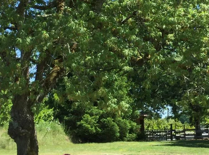 La Belle Chaumiere 3* Bretagne-de-Marsan